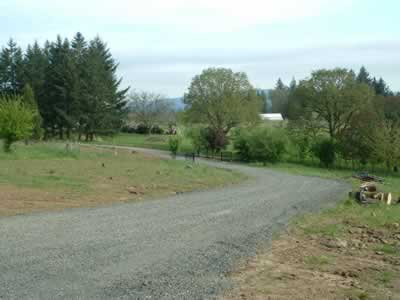 road that was constructed to the home site.
